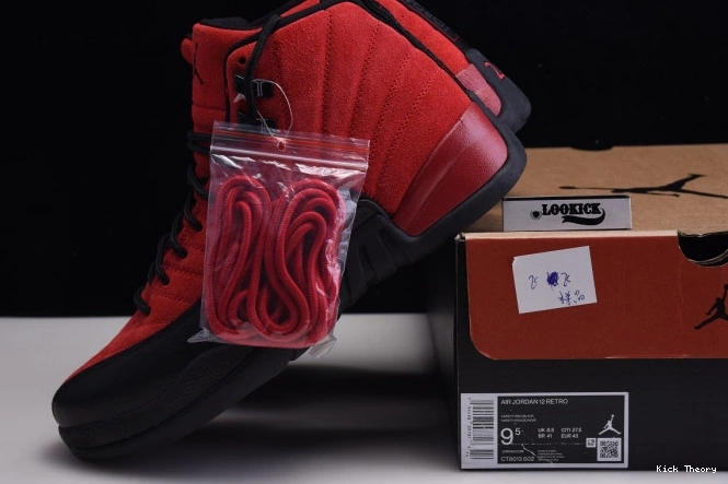 Kicktheory Jordan Game Reverse Retro Flu CT8013-602 12 Air 0715